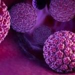 Norovirus : 1 747 personnes confinées à bord d’un paquebot à Bordeaux après un décès suspect